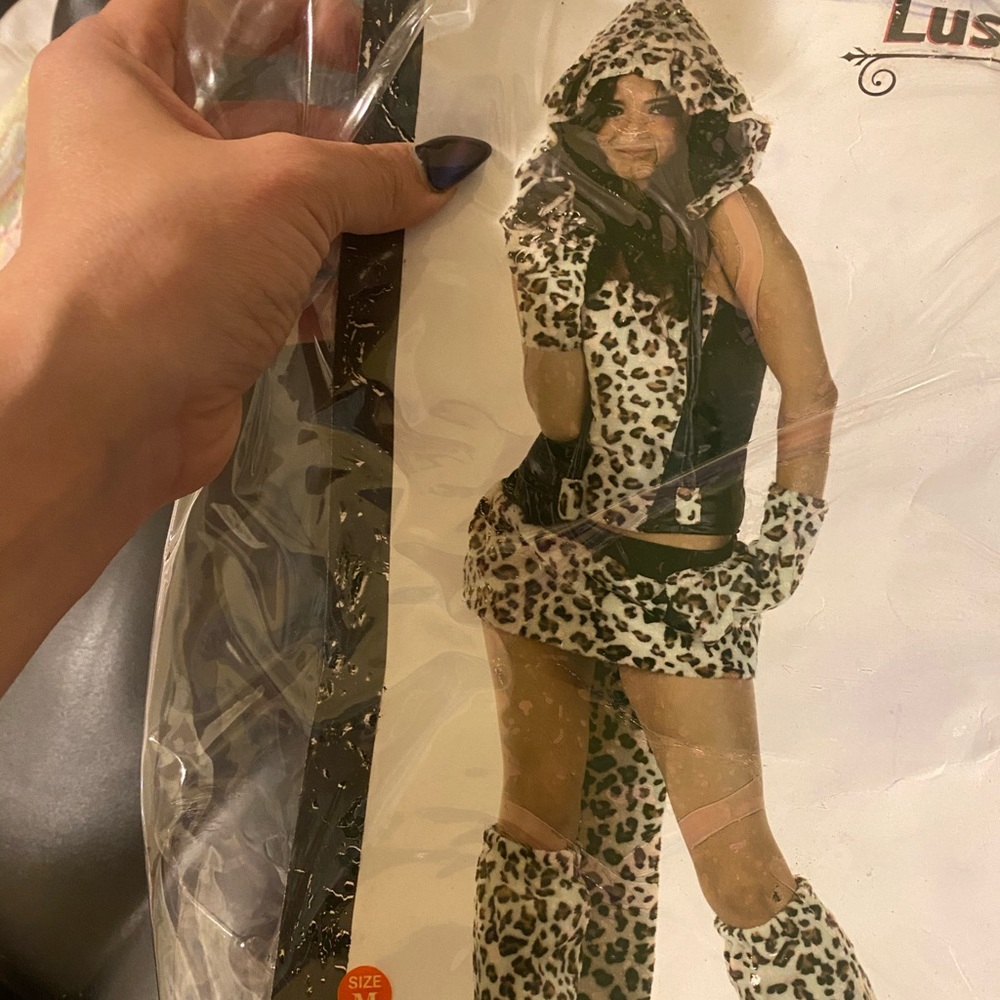 Sexy kitty costume